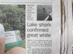 Great White shark; Lakes Mail